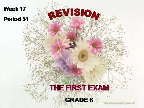 REVISION IN GRADE 6 - THE 1st  EXAM