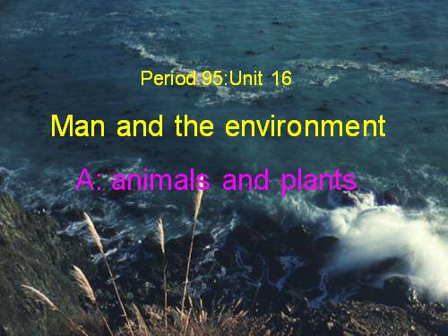 Unit 16. Man and the environment