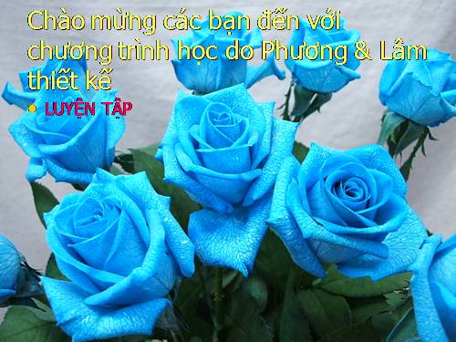 CHUONG TRINH HOC TIENG ANH VTP