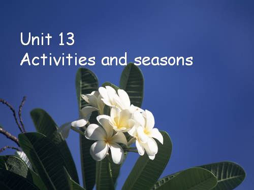 Unit 13. Activities and the seasons