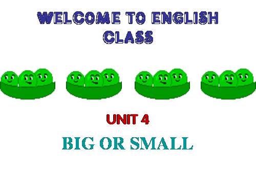 Unit 4. Big or small?