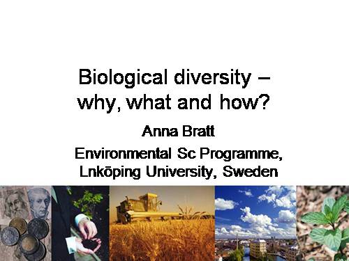 Lecture biodiversity