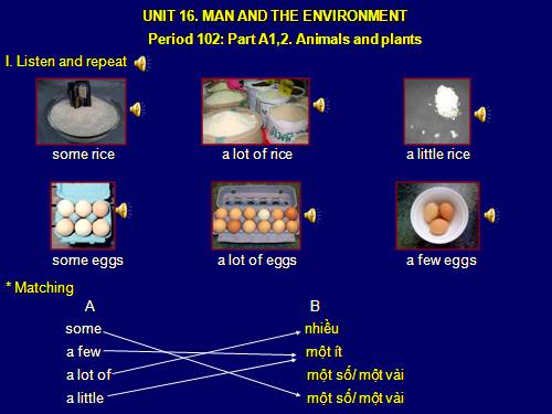 Unit 16. Man and the environment