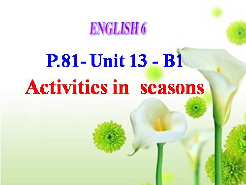 Unit 13. Activities and the seasons