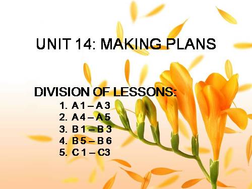 Unit 14. Making plans