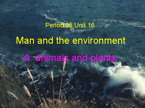 Unit 16. Man and the environment