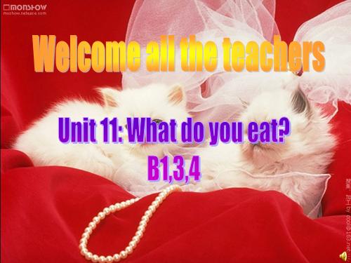 Unit 11. What do you eat?