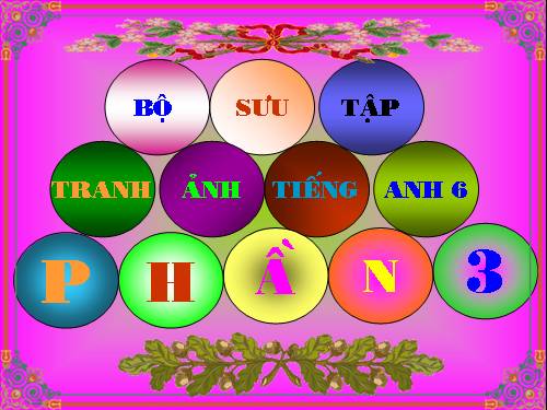 Bộ sưu tập tranh ảnh E6 (phần 3)