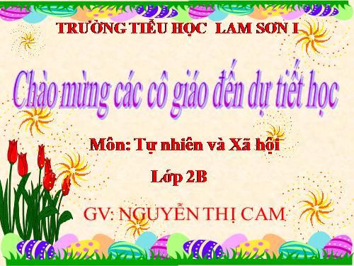 Bài 6. Tiêu hoá thức ăn