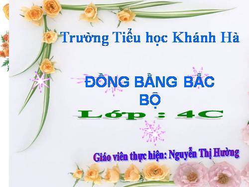 Bài 11. Đồng bằng Bắc Bộ