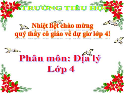 Bài 28. Thành phố Đà Nẵng