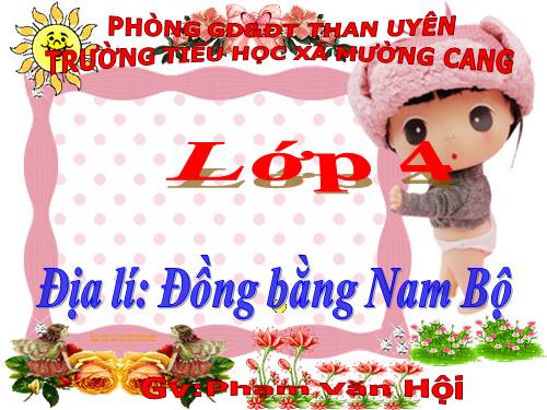 Bài 17. Đồng bằng Nam Bộ