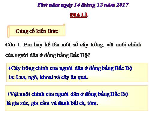 Bài 13-14. Hoạt động sản xuất của người dân ở đồng bằng Bắc Bộ