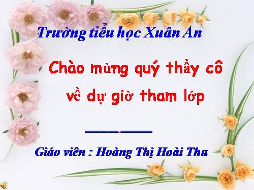 Bài 24. Dải đồng bằng duyên hải miền Trung