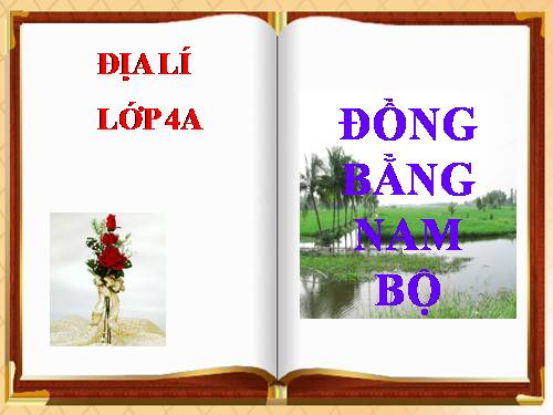 Bài 17. Đồng bằng Nam Bộ