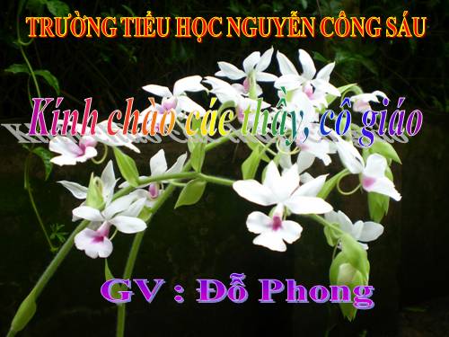 Bài 7-8. Hoạt động sản xuất của người dân ở Tây Nguyên