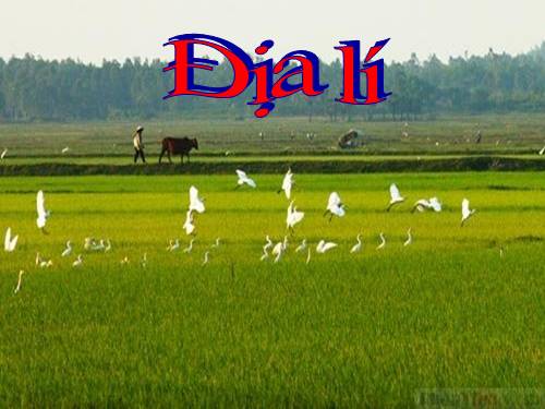 Bài 11. Đồng bằng Bắc Bộ