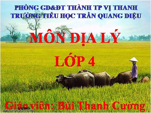 Bài 22. Thành phố Cần Thơ