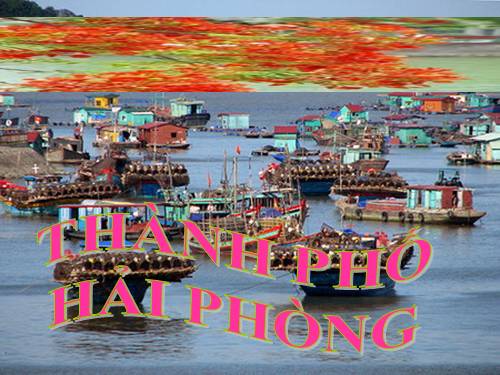 Bài 16. Thành phố Hải Phòng