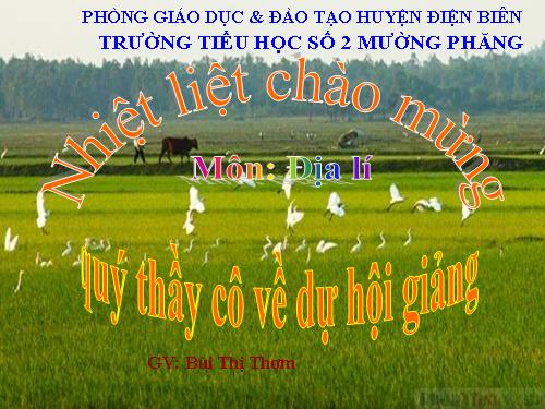 Bài 11. Đồng bằng Bắc Bộ