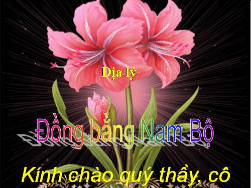 Bài 17. Đồng bằng Nam Bộ