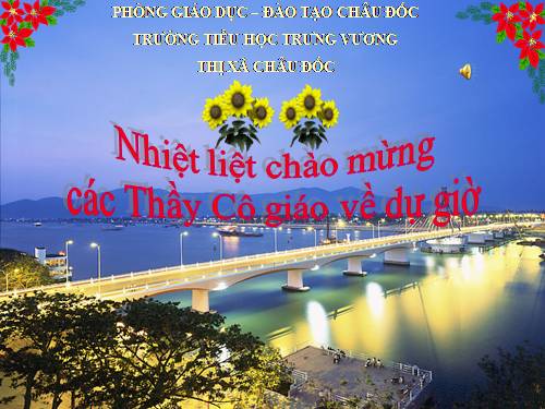 Bài 28. Thành phố Đà Nẵng