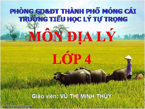 Bài 22. Thành phố Cần Thơ