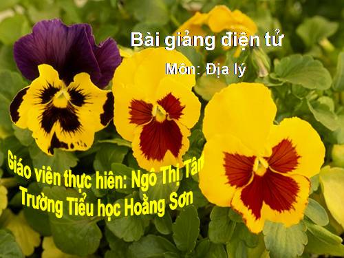 Bài 7-8. Hoạt động sản xuất của người dân ở Tây Nguyên