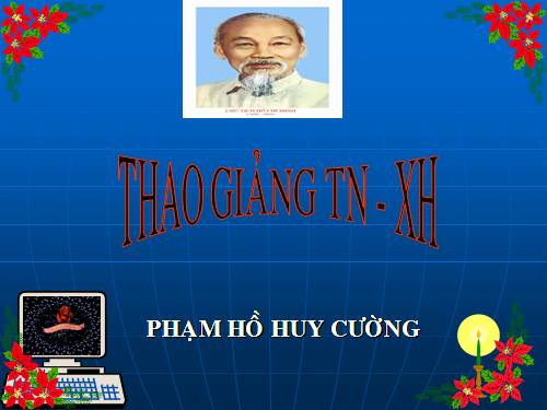 Bài 21. Thành phố Hồ Chí Minh