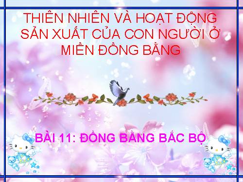 Bài 11. Đồng bằng Bắc Bộ