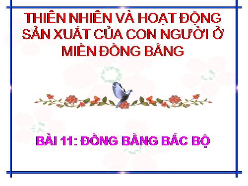 Bài 11. Đồng bằng Bắc Bộ