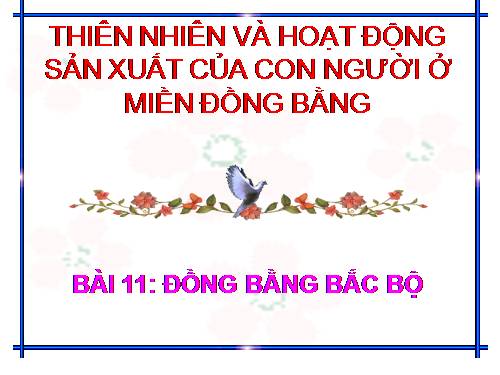 Bài 11. Đồng bằng Bắc Bộ