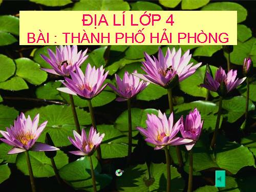 Bài 16. Thành phố Hải Phòng