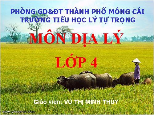 Bài 22. Thành phố Cần Thơ