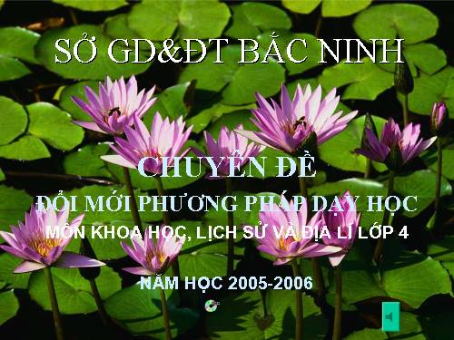 Bài 16. Thành phố Hải Phòng