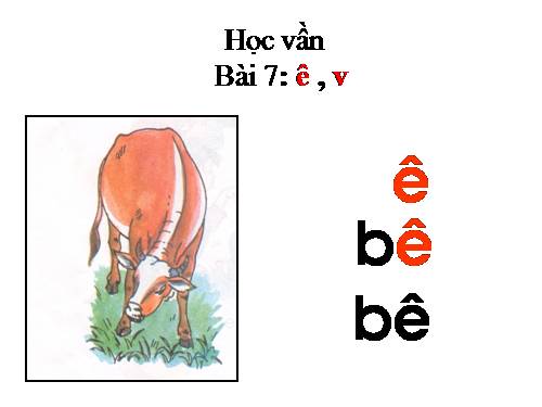 Bài 7. ê, v