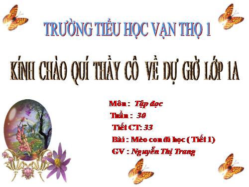 Tuần 7. Mèo con đi học