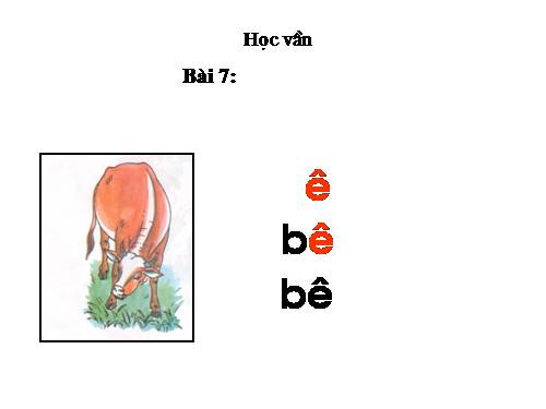 Bài 7. ê, v