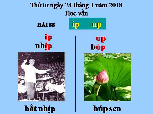 Bài 88. ip, up