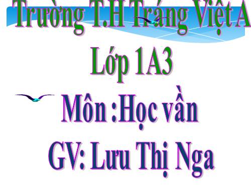 Bài 31. Ôn tập