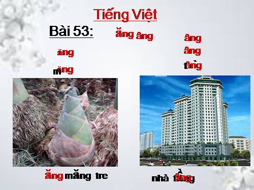 Bài 53. ăng, âng