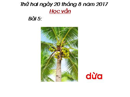 Bài 5. dấu huyền, dấu ngã