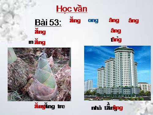 Bài 53. ăng, âng