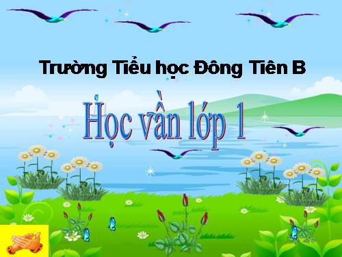 Bài 11. Ôn tập