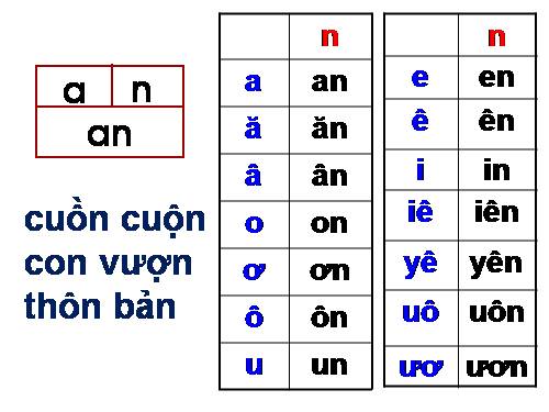 Bài 52. ong, ông