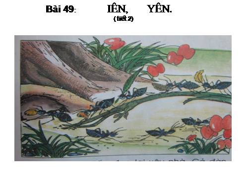 Bài 49. iên, yên