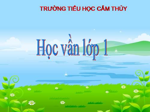 Bài 11. Ôn tập