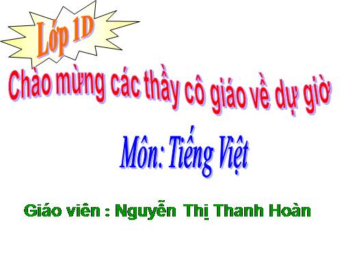 Bài 11. Ôn tập