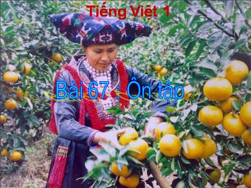 Bài 11. Ôn tập