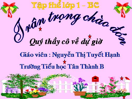 Bài 11. Ôn tập